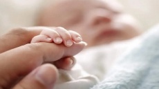 برای نوزادان، سهام بورسی بگیرید