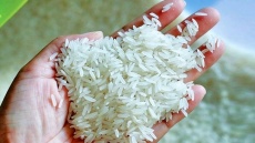 قیمت جدید برنج ایرانی اعلام شد 1404/08/19