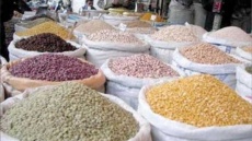 قیمت لوبیا در بازار امروز