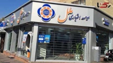 مهلت 6ماهه بانک مرکزی به موسسه ملل