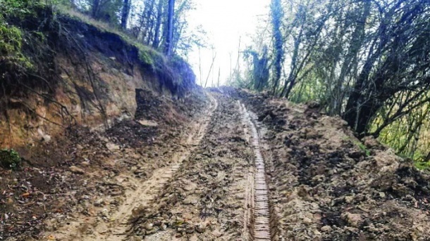 ساخت جاده در جنگل هیرکانی بابل با نفوذ سیاسی