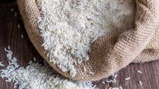 علت گرانی برنج چیست؟