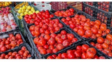 سندروم گوجه‌فرنگی در کشور