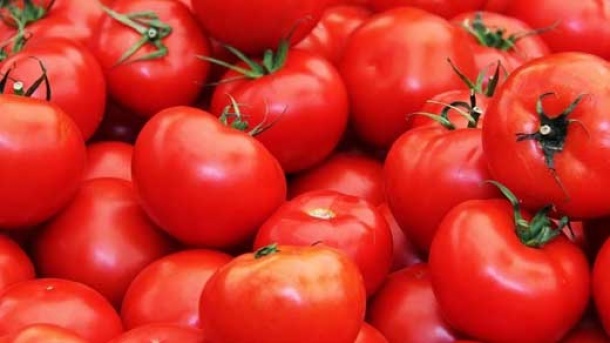 قیمت گوجه نجومی شد