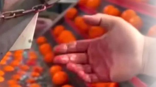 رنگ کردن سلامت با تقلب در پرتقال‌ها