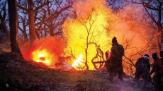 عامل انسانی مصوب آتش سوزی جنگل‌های هیرکانی 