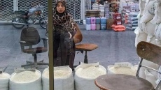 توزیع برنج ایرانی تنظیم بازار از هفته آینده