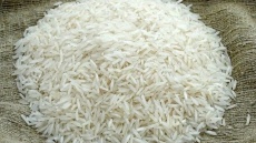 قیمت جدید انواع برنج ایرانی در بازار 1404/09/11 