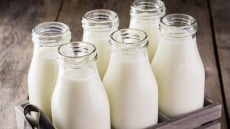 قیمت شیرخام افزایش یافت