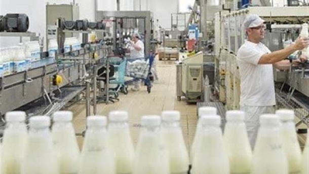 وعده دولت به کاهش قیمت شیر خام