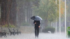 بارش باران در تهران به 9 میلیمتر هم نرسید