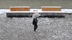 هواشناسی امروز شنبه 29 آذرماه 1404