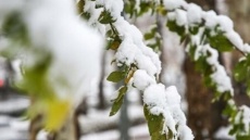 ورود سامانه بارشی به کشور