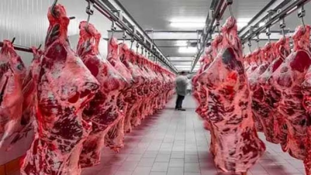 قیمت گوشت وارداتی اعلام شد