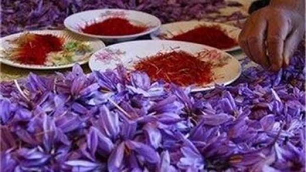 قیمت جدید زعفران اعلام شد