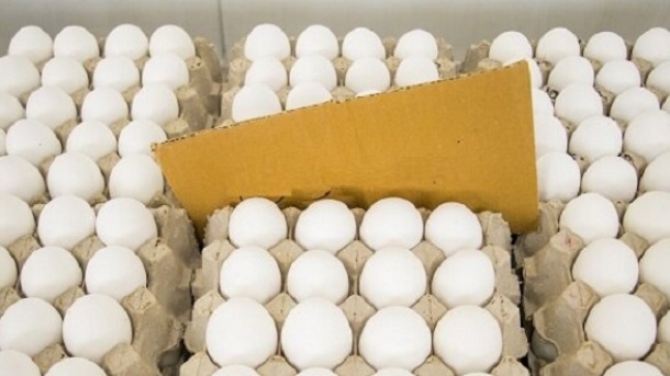 قیمت امروز تخم مرغ در بازار 1404/10/24