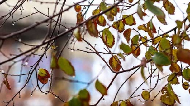 ورود سامانه بارشی جدید به کشور