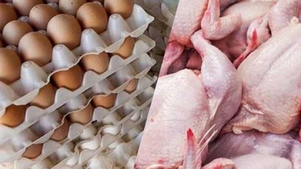 قیمت مرغ و تخم مرغ در بازار