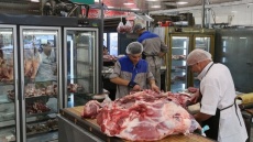 آماده‌باش گوشت قرمز برای کاهش قیمت