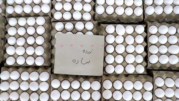 قیمت جدید تخم مرغ در بازار