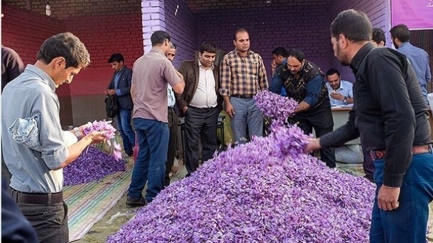 طلای سرخ ایرانی در افغانستان چه میکند؟