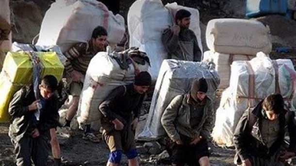 واردات کولهبری این کالاها ممنوع شد