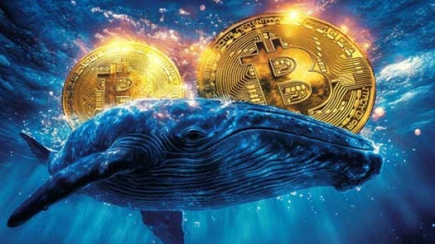 افزایش 89برابری سرمایه نهنگ خفته بیت کوین!