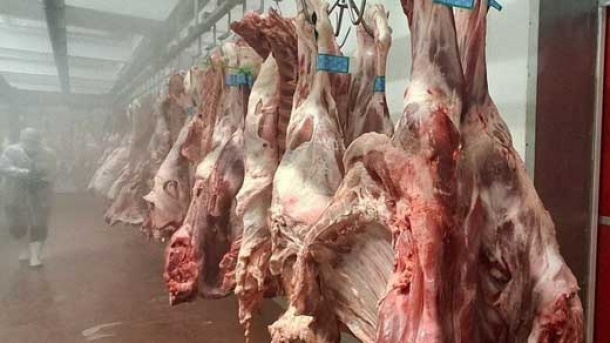 گوشت بسته‌بندی چقدر گرانتر است؟