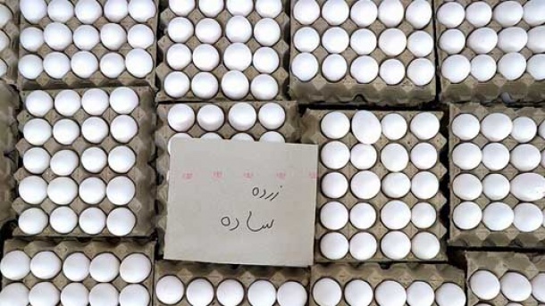 صادرات تخم مرغ آزاد شد