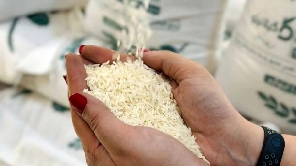قیمت جدید برنج ایرانی امروز دوشنبه 1405/03/11