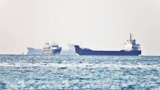 گذر سبز در میدان مین