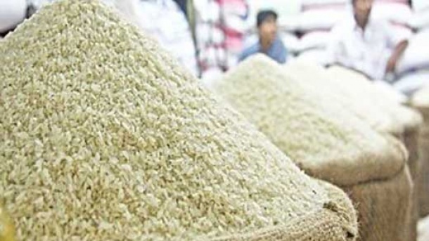 برنج ارزان می شود؟
