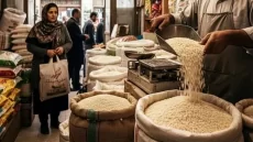 قیمت جدید انواع برنج ایرانی در بازار 1405/05/04