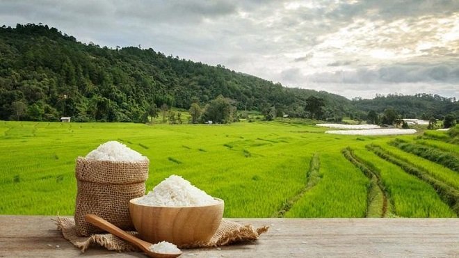 قیمت جدید برنج ایرانی اعلام شد