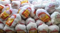 خرید حمایتی مرغ از امروز آغاز شد