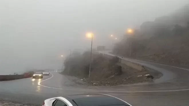 بارندگی و مهگرفتگی در جادههای شمالی