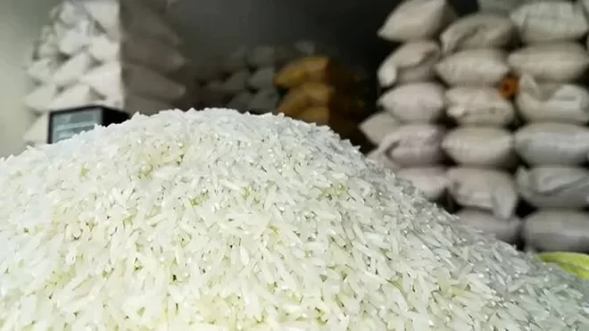 قیمت برنج هاشمی در بازار چند؟