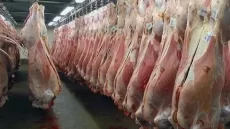 ماجرای ۷۸ تن گوشت فاسد شده در گمرک چه بود؟