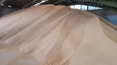 قیمت خرید تضمینی گندم ۱۴۰۵ اعلام شد؟ 