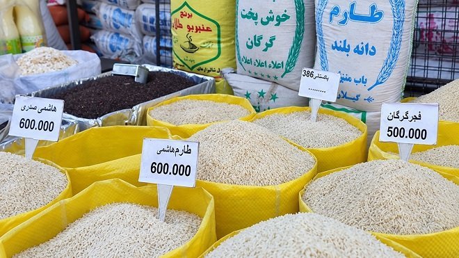 قیمت جدید برنج ایرانی امروز سهشنبه در بازار 1405/07/14