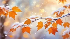 هشدار نارنجی هواشناسی برای چند استان