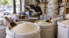 قیمت جدید انواع برنج ایرانی در بازار 1405/07/22