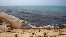 آلودگی بزرگ نفتی در سواحل ایران
