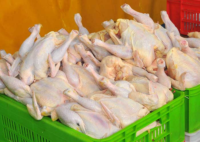 قیمت مرغ دوشنبه نهایی میشود
