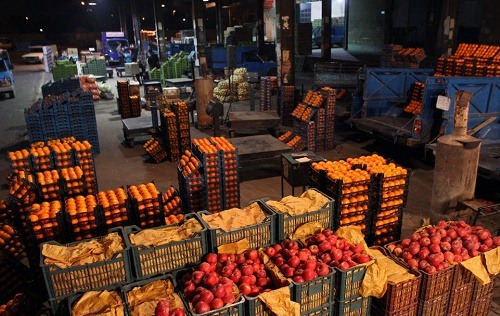 توزیع میوه شب عید شهرستانهای استان تهران آغاز شد