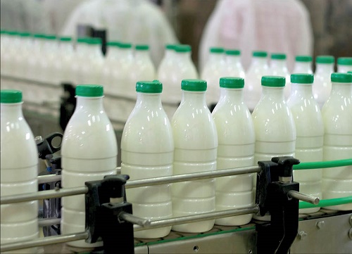 واردات شیر خشک آخرین میخ بر تابوت صنعت شیر