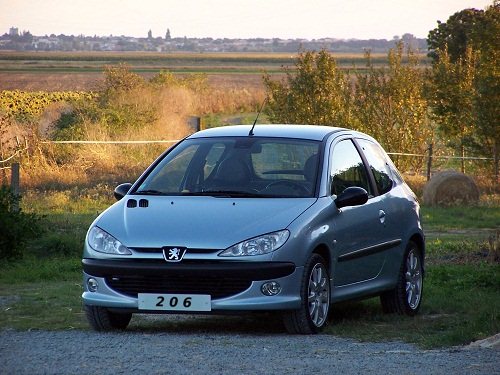 آیا میدانید پژو 206 شانزده کلاس دارد؟