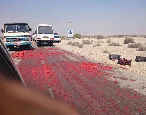 اشکها و گوجهها در جادههای هرمزگان!