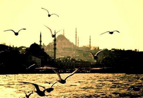 هشدار سرکنسول ایران در استانبول: ترکیه امن نیست