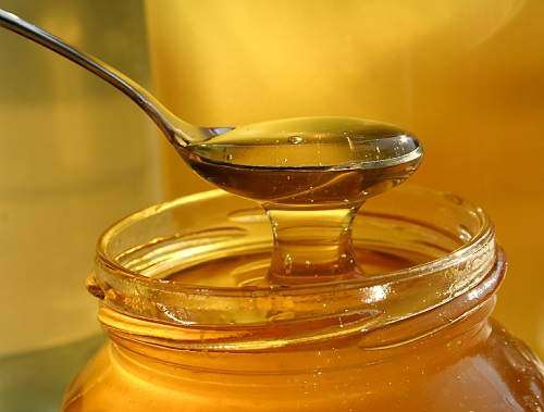 راه‌های تشخیص عسل اصل از عسل‌های قلابی به روایت کارشناسان